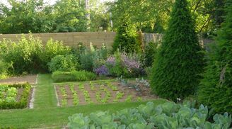 Le Potager D’Alexis (4)