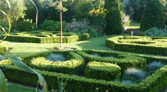 Le Potager D’Alexis (6)