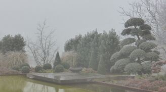 Franck Pineau Paysagiste Jardin (31)