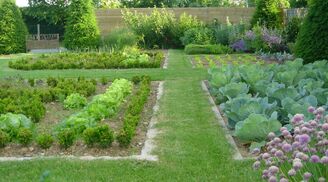 Le Potager D’Alexis (7)