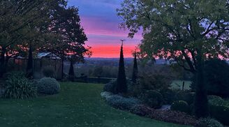 Quand La Nature Joue Du Pinceau (6)