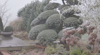 Quand La Nature Joue Du Pinceau (11)